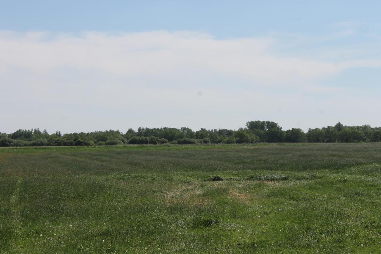 Ferienwohnung 1 Im Boehler Haubarg Sankt Peter-Ording Εξωτερικό φωτογραφία